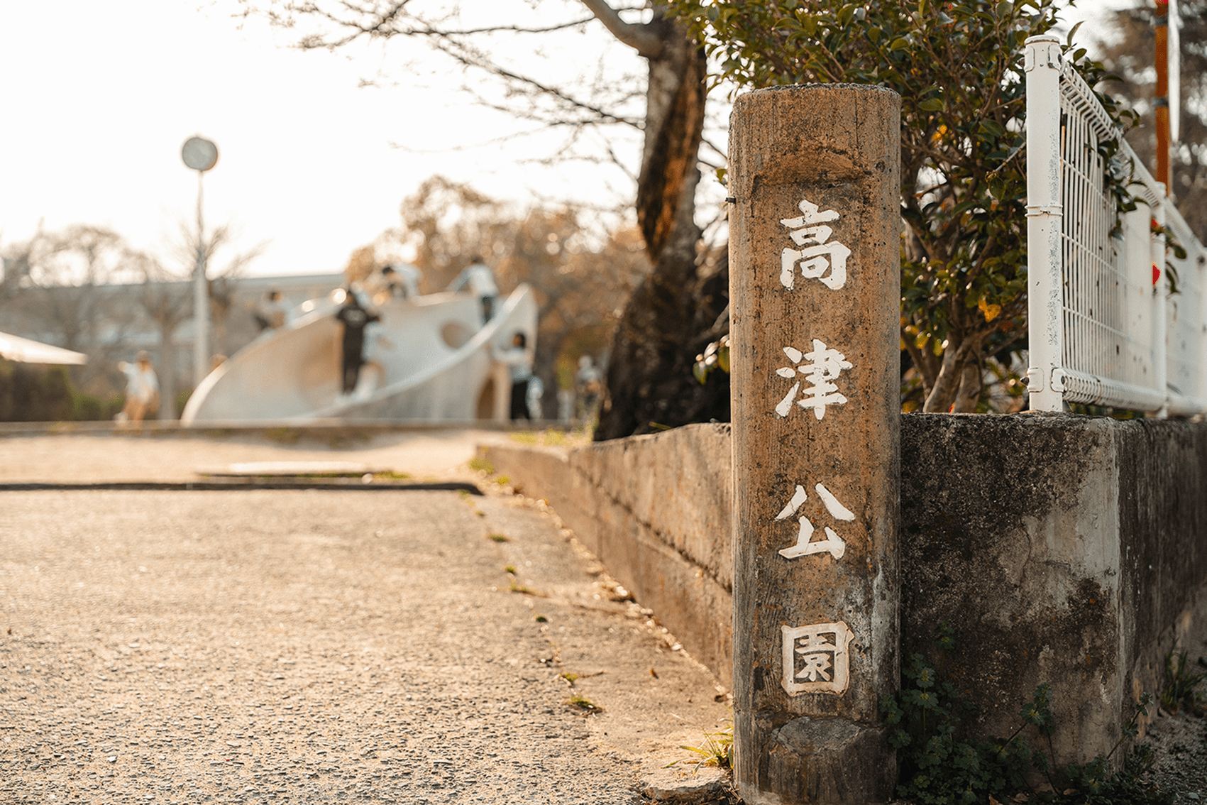 画像：和歌山エリア