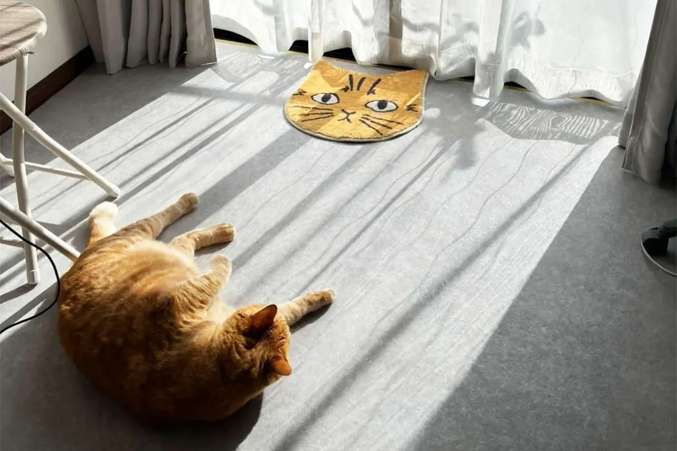 画像：福岡エリア